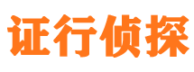 沙湾侦探公司